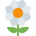 🌼